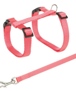 RIXIE kassidele mõeldud traksid jalutusrihmaga, 27-45 cm-10 mm, 1,20 m, varvivalik