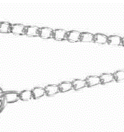 Trixie kahe koera jalutamise kett 60 cm