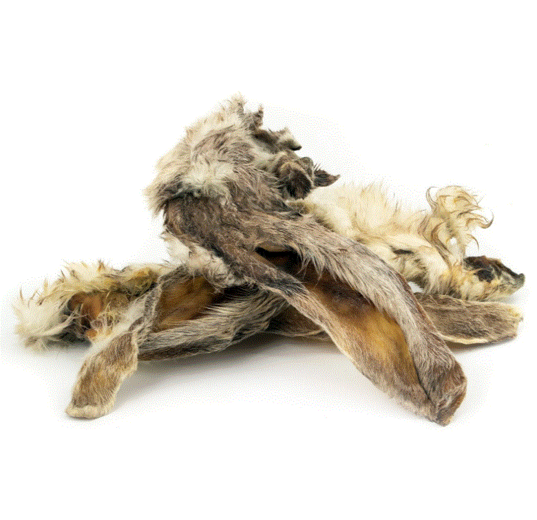 10522_6442408cddf3f2.43462133_jC3A4nesekC3B5