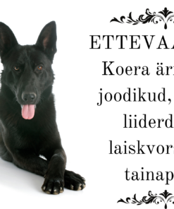 Hoiatussilt "Ettevaatust, Koera ärritavad.."