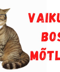 Vaikust, boss mõtleb, kass 25x15cm