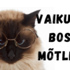 Vaikust, boss mõtleb, kass 25x15cm
