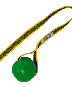 Starmark GripCord Chew Ball M