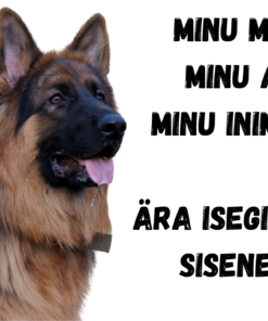 Hoiatussilt "Minu maja" 30x 20 cm