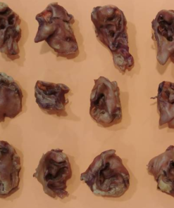 Koera maius, sea sisekõrv 500 g