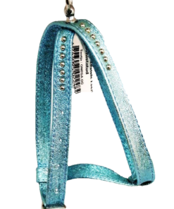 Traksid kaunistustega väikesele koerale, värvivalik