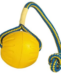 Starmark Swing 'n Fling DuraFoam Ball, M