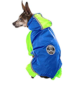 Koera kombinesoon Sporting 31