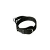 Hundesport Klin nailonist kaelarihm sangaga 40mm x 40- 48cm