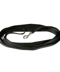 Hundesport Klin nailonist jäljerihm 5 m