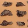 Veise kops 100 g