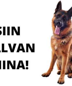 Hoiatussilt " Siin valvan mina" sakslane 30 x 20 cm