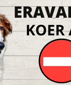 Aiasilt "Koer aias" 30 x 15 cm