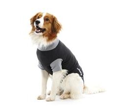 Buster operatsioonijärgne vest isasele koerale, 46 cm M