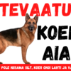 Hoiatussilt "Koer aias" 25 x 15 cm, sakslane