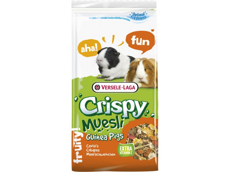 11061_64fb112eab9306.83982073_5a6b2509802f