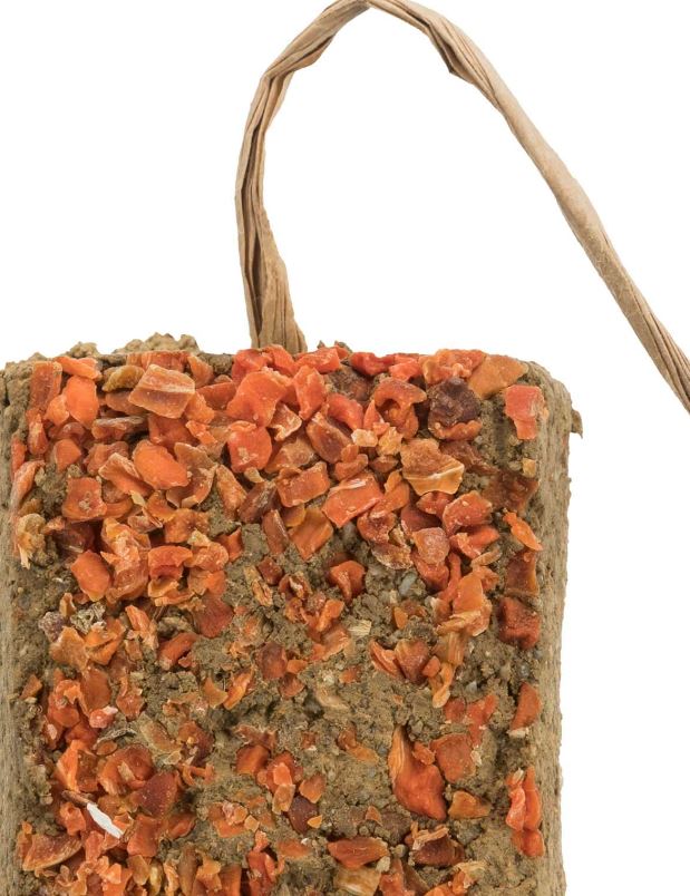 11679_65b409a73c2cd4.14299925_porgandiga