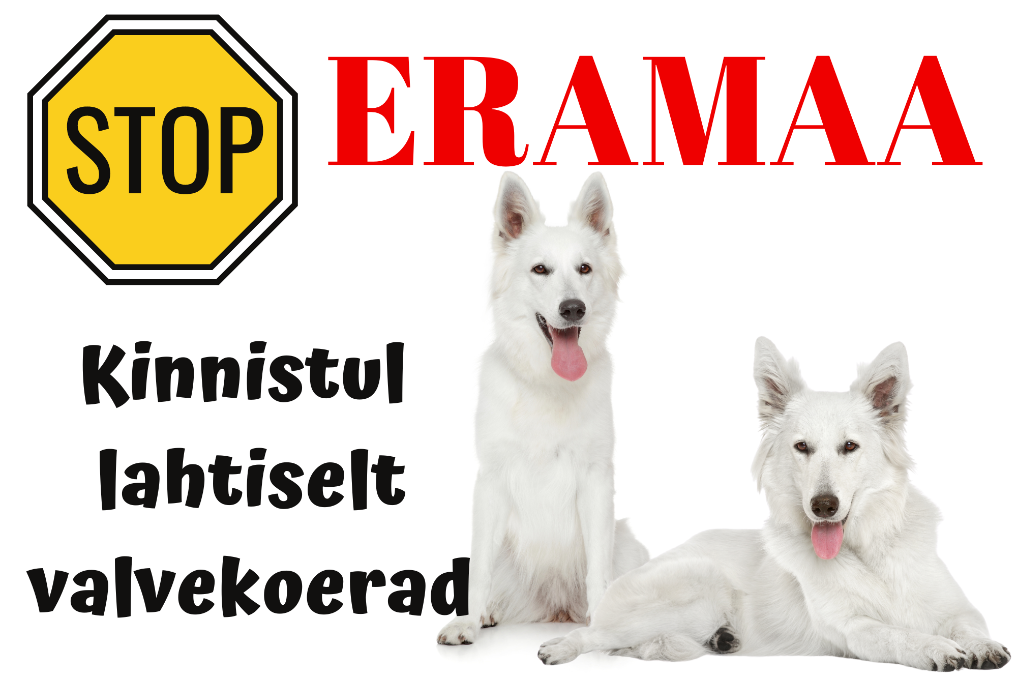 12045_665edfddaa5197.78318833_59