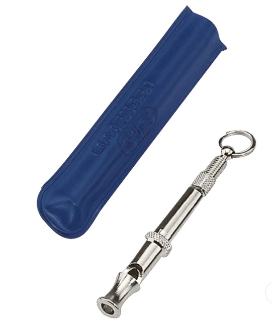 12074_6670525c9dd111.37130179_1209