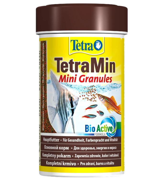 12107_6690fa08e6f9a6.24713768_tetramini