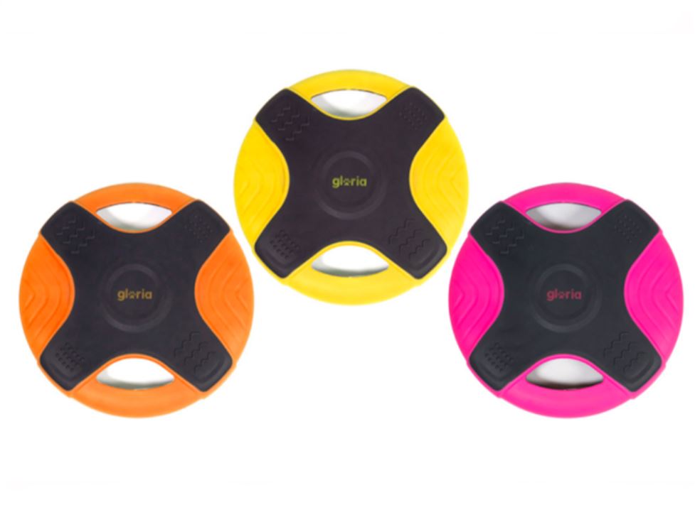 12173_66b34a3885c8e2.93169164_frisbee