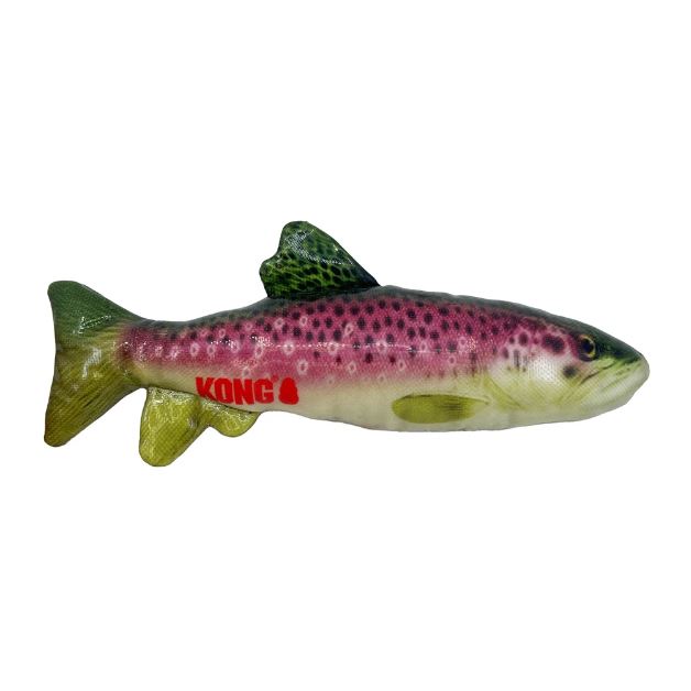 12304_66e961b559fbf4.96310009_trout2