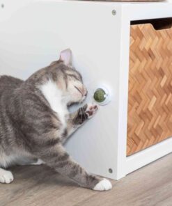 Trixie Catnip pall koos hoidjaga kassile