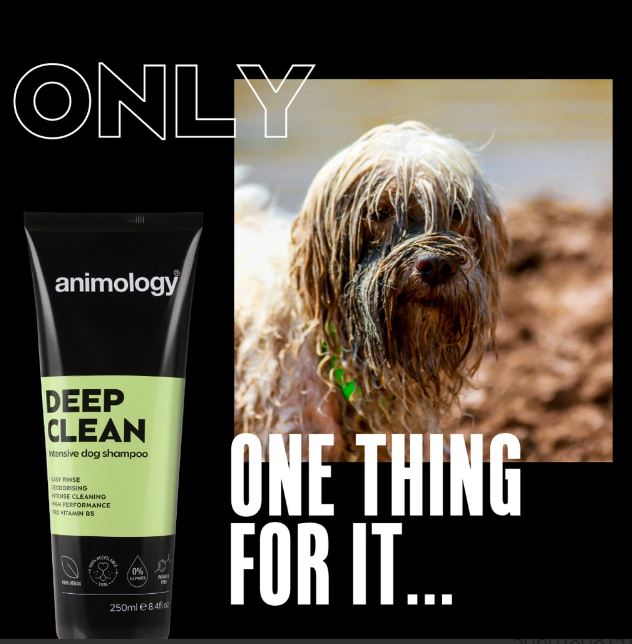 12346_6708e9310c03c0.30782445_13