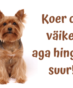 Hoiatussilt "Koer on väike..."