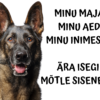 Hoiatussilt Saksa lambakoer 30 x 20 cm