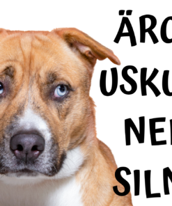 Hoaitussilt  "Ärge uskuge neid silmi!" 30 x 20 cm