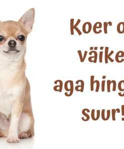 Hoiatussilt "Koer on väike,.." 30 x 20 cm