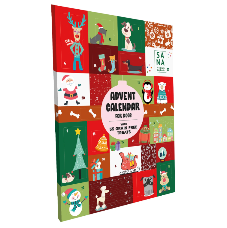 11333_6558b22098adc9.38705566_advent2