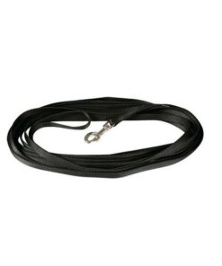 Hundesport Klin nailonist koolitusrihm, 2 m