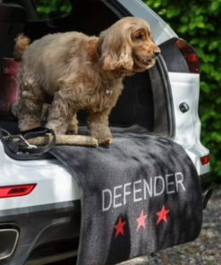 Auto tagaluugi kaitsekate 100 x 150 cm