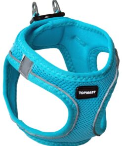 Topmast Airmesh koerarakmed – Click & Go – reguleeritavad – türkiis – L