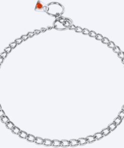 Sprenger kett hõbedane 2,5mm, 65cm