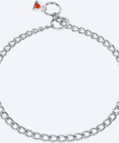 Sprenger kett hõbedane 2,5mm, 55cm