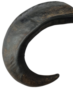 Topmast lehmasarv koertele ca 100 g