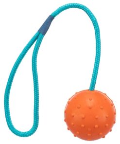 Trixie 6cm läbimõõduga  kummipall nööriga