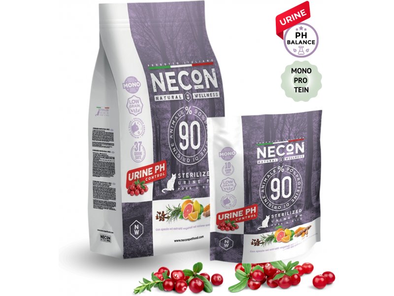 necon20seaga20ph.jpg