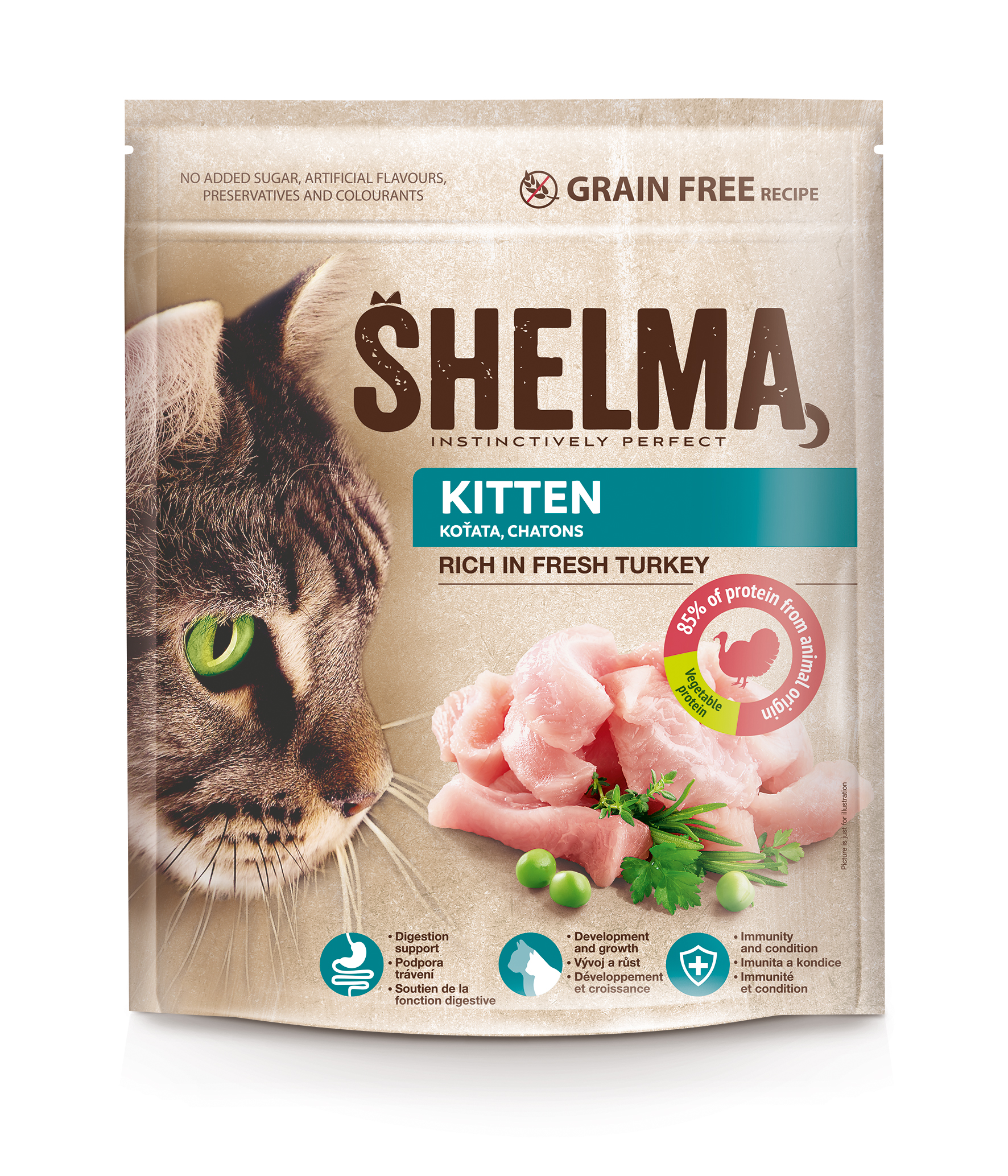shelma-kitten.jpg