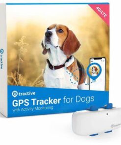 Tractive GPS positsioneerimisseade koertele