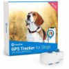 Tractive GPS positsioneerimisseade koertele