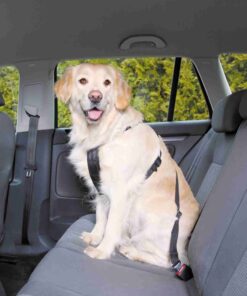 Trixie autotraksid koerale M, 50-70 cm