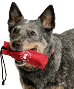 Clix Canvas training Dummy S