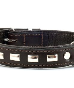 Kaelarihm "Nemo" voodriga 19mm x 35cm, helesinine