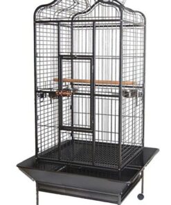 Topmast papagoipuur Vienna Antratsiit 81 x 59 x 168 cm