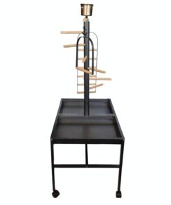 Papagoide alus PLAY must