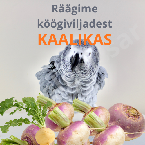 The post 🌿 Räägime köögiviljadest — 6. päev: Kaalikas appeared first on Koertekeskus.